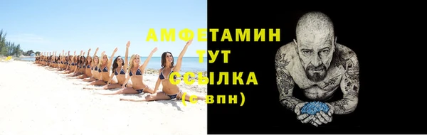 индика Покачи