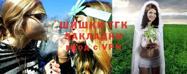 индика Покачи