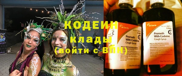индика Покачи