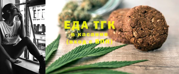 индика Покачи