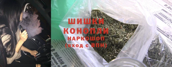 индика Покачи