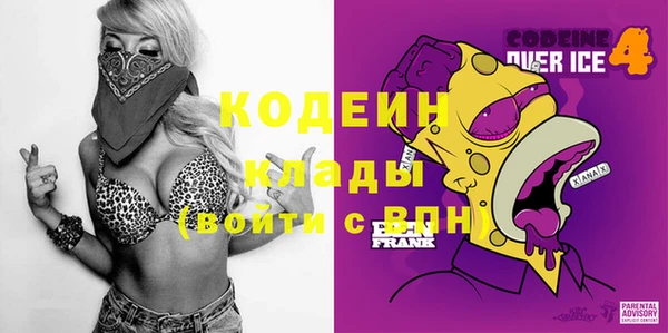 индика Покачи