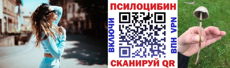 Галлюциногенные грибы Psilocybe  купить закладку  Пересвет 